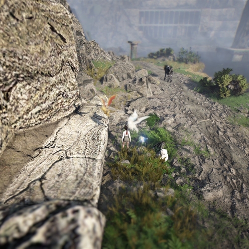 scs_1_26081303582350210_thumb