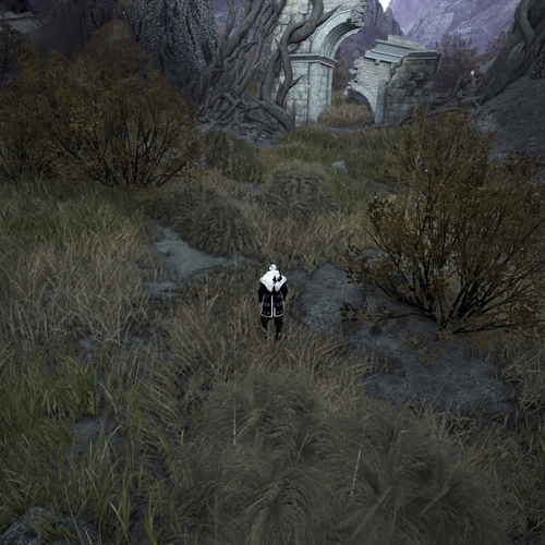 scs_1_2608130904117543_thumb