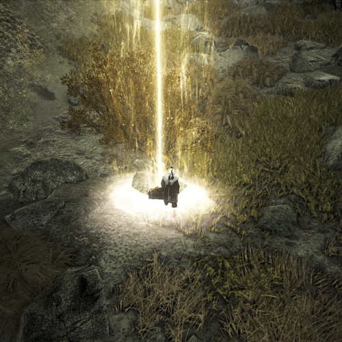 scs_1_2608130905155673_thumb