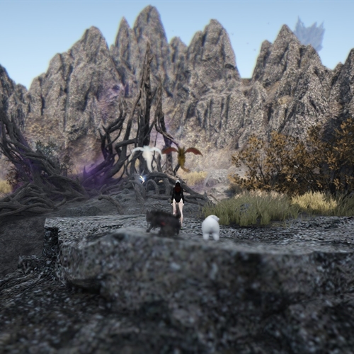 scs_1_26081309513410255_thumb