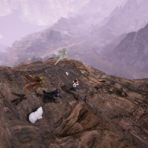 scs_1_26081310100113673_thumb