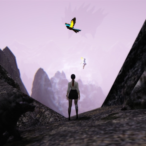 scs_1_26081402311627432_thumb