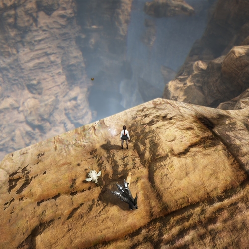 scs_1_26081402352871880_thumb