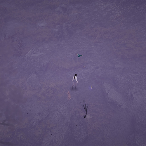scs_1_26081412394749794_thumb