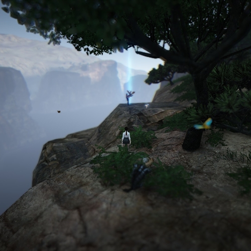 scs_1_26081412562443524_thumb