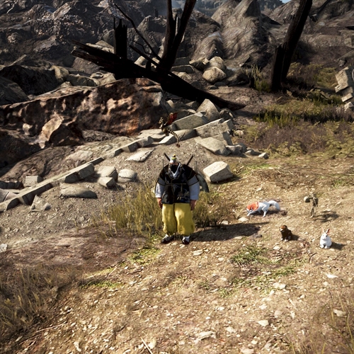 scs_1_26080207390368973_thumb