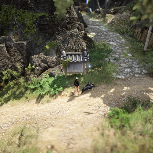 scs_1_26082603184082616_thumb
