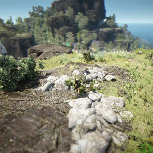 scs_1_26082603231688693_thumb