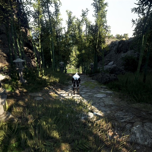 scs_1_26082703544327149_thumb