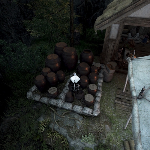 scs_1_26082704045621546_thumb