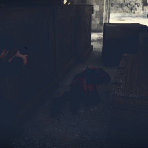 scs_3_26080510140387641_thumb