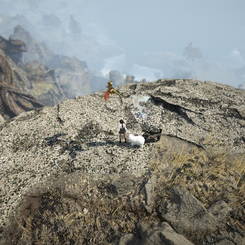 scs_1_26091602020359719_thumb