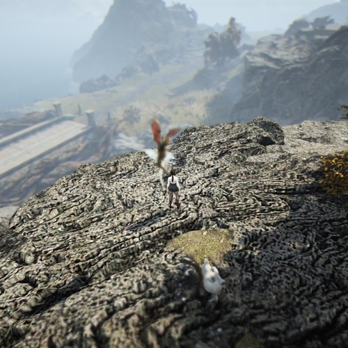 scs_1_2609160203467675_thumb