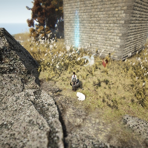 scs_1_26091602110659160_thumb