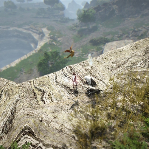 scs_1_26091602292616257_thumb