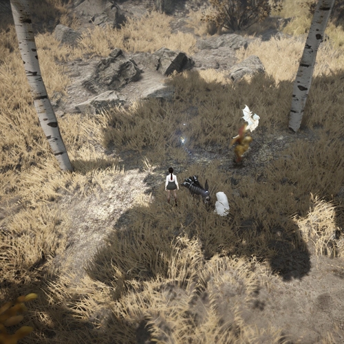scs_1_26091603210333391_thumb