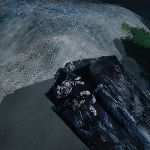 scs_1_26092608501827125_thumb