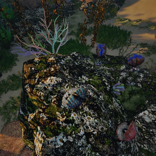 scs_1_26092609063805668_thumb