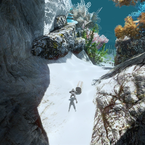 scs_1_26092610524658382_thumb