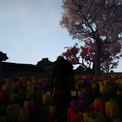 scs_1_26090501180860687_thumb