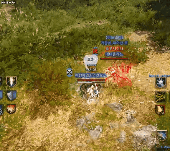 매화 붉은 달 옆방추 도착시 전가없음