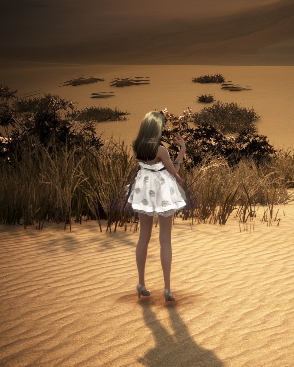 제 4장 첫 번째 삽화