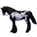 Global Lab Updates - 19th December 2025