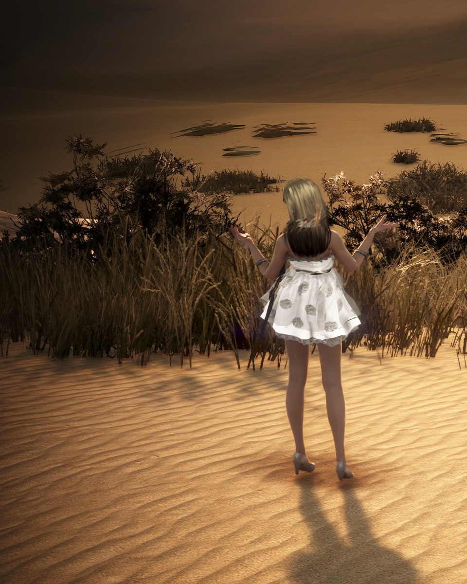 제 4장 두 번째 삽화