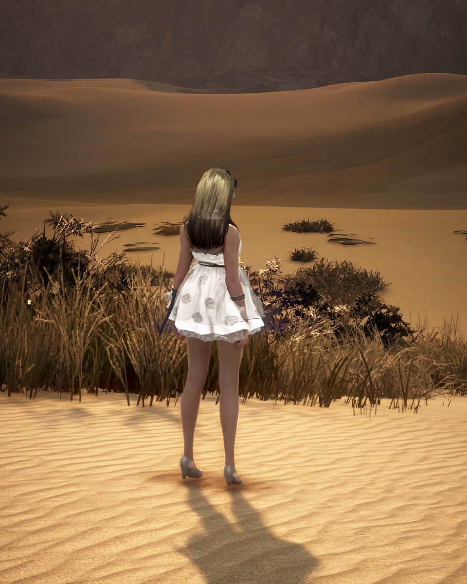 제 4장 세 번째 삽화