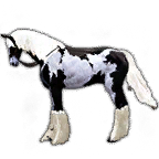 Global Lab Updates - 19th December 2025