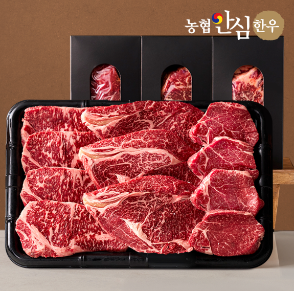 농협안심한우 1등급 구이세트 1kg