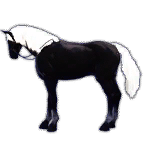 Global Lab Updates - 19th December 2025