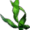 심해초 줄기