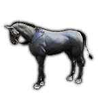 Global Lab Updates - 19th December 2025