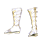 신발