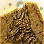 Global Lab Updates - 21th August 2026