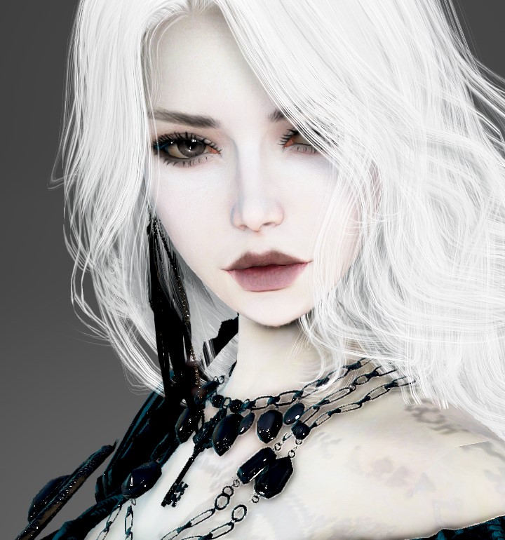 customization-album-c-o-r-s-black-desert-na-eu