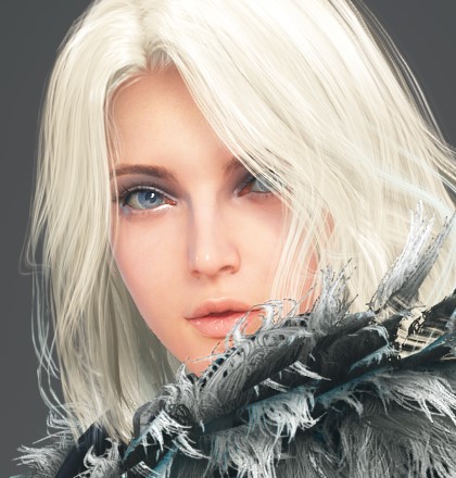 [Customization Album] Targ***** Template | Black Desert NA/EU