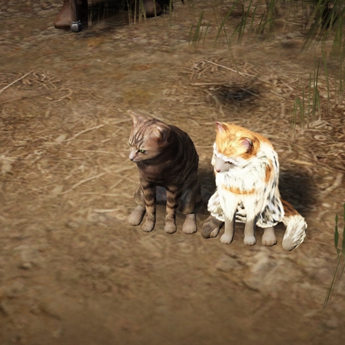 scs_1_25101809131346747_thumb