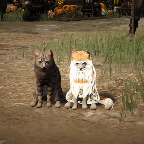 scs_1_25101809134472685_thumb