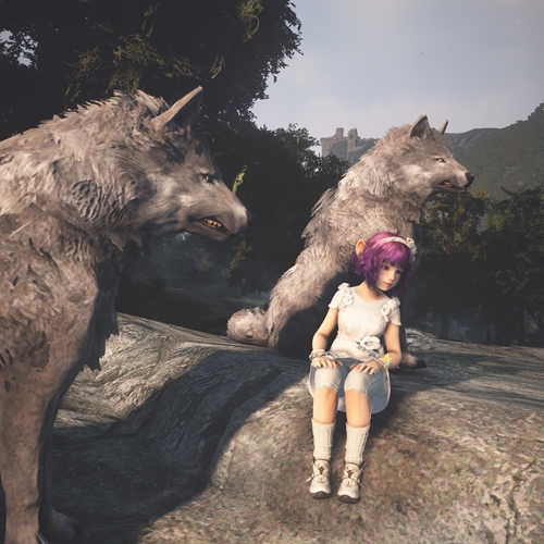 scs_1_25112907121711046_thumb