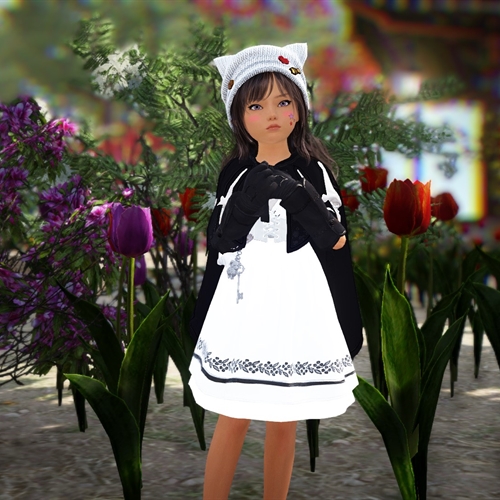 scs_1_25110611145023592_thumb