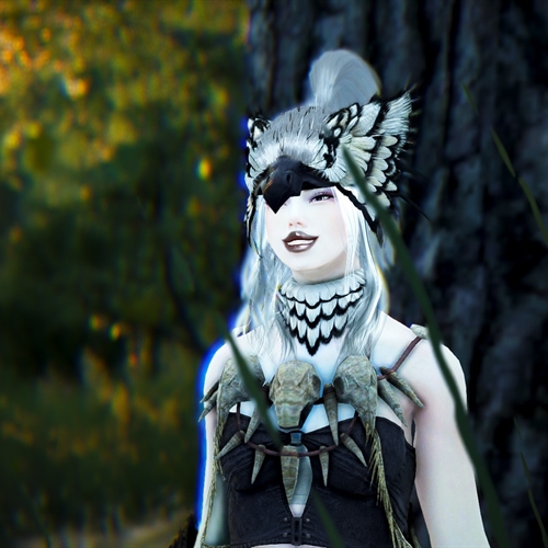 scs_2_25120107162408785_thumb