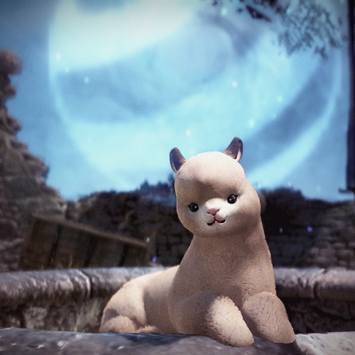 scs_3_25120102114716650_thumb