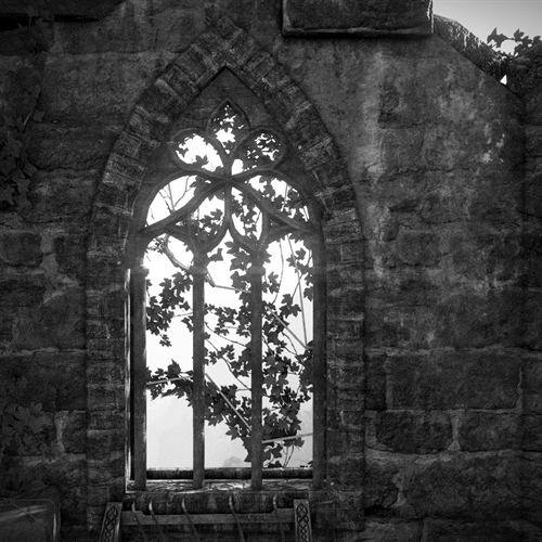 scs_1_25120208212144179_thumb