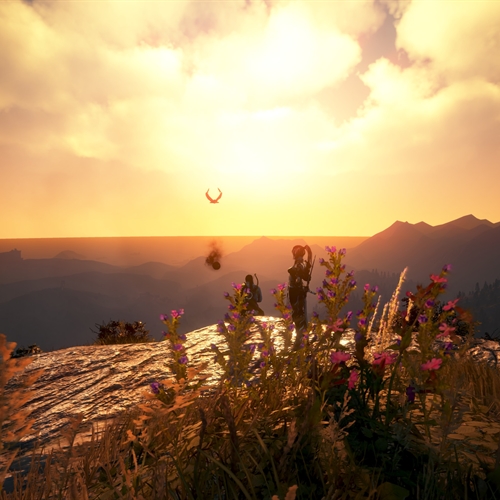 scs_2_25091407304619250_thumb
