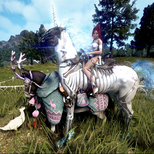 scs_1_2509151255202594_thumb