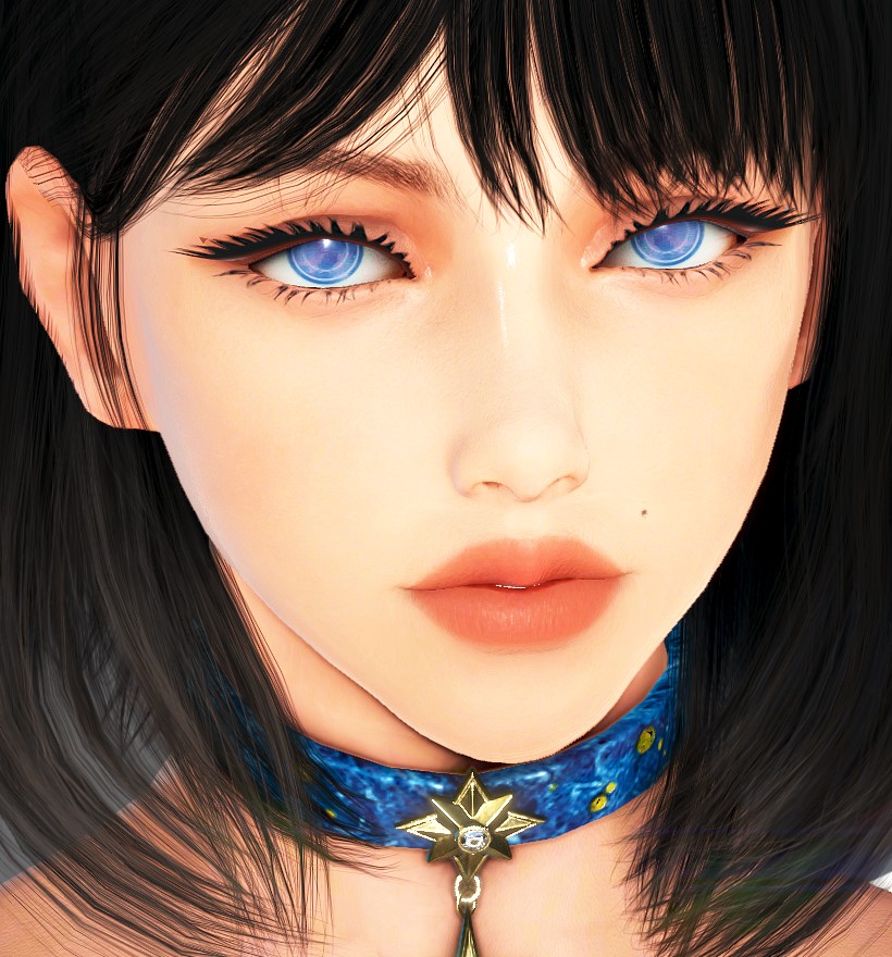 customization-album-erika-black-desert-na-eu