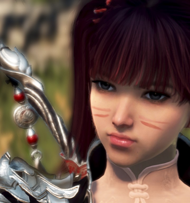 customization-album-reiko-black-desert-na-eu