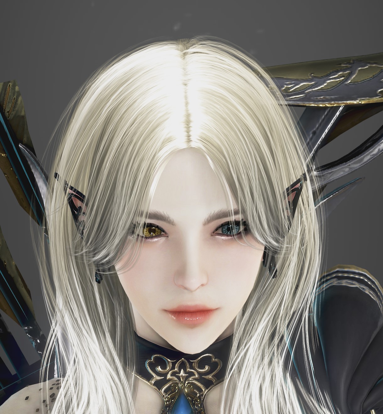 Customization Album] Elf-one | Black Desert NA/EU